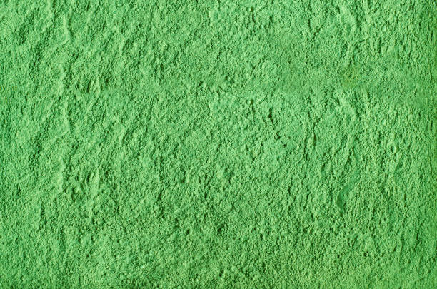 istock Green cosmetic clay powder (kelp facial mask, spirulina body wrap) texture close up, selective focus. Abstract background. 1301728616