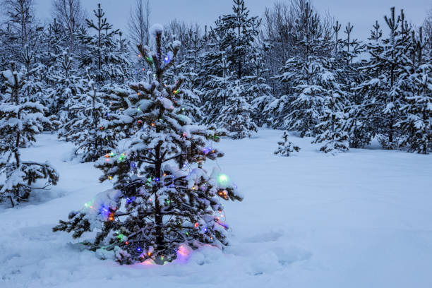 istock multicolored illumination flashes on the Christmas tree 1301729927