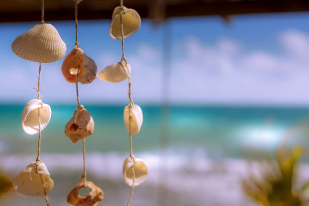 Curtain Sea Shells Decoration Stock Photo 634511369