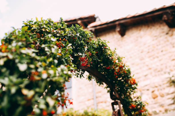 Perouges France Wallpaper Flowers 580+ Perouges Stock Photos, Pictures & Royalty-Free Images - iStock