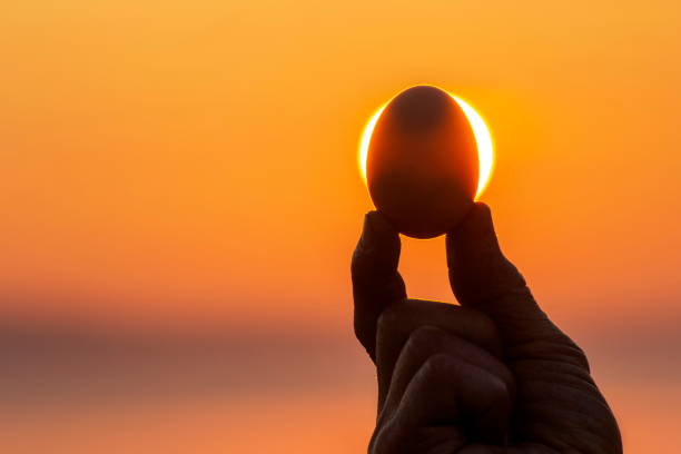 istock A chicken egg against the background of a sunny dawn 1301733596