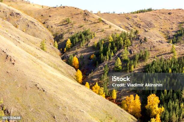 Picturesque Spurs Of The Nurali Ridge Stock Photo - Download Image Now - Larch Tree, Ural Mountains, Adventure