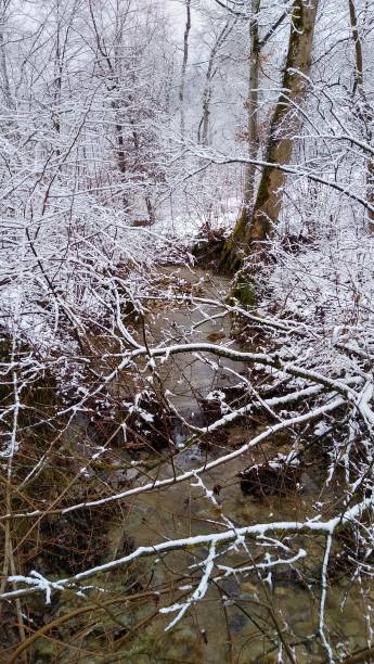 istock Stream in the forest in january 1301735817
