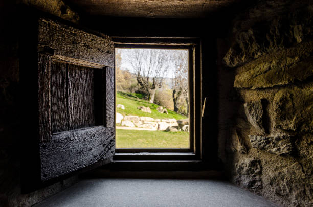 Interior view from the window of a rustic house towards a beautiful garden with trees
