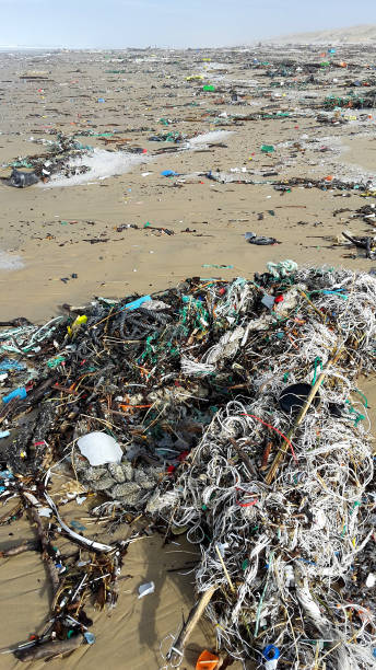 istock Plastic rubbish washed up on the beach after the storm surge 1301737363