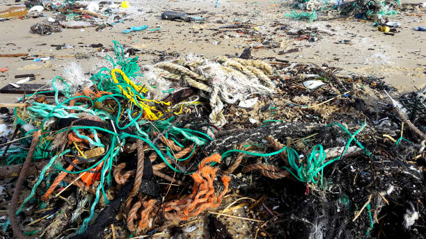 istock Plastic rubbish washed up on the beach after the storm surge 1301737420