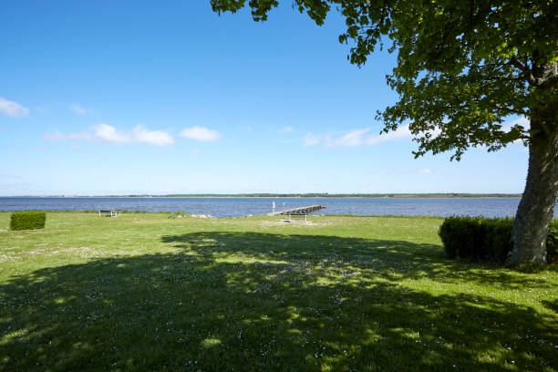 istock a green field by the water on hot summer day 1301741730