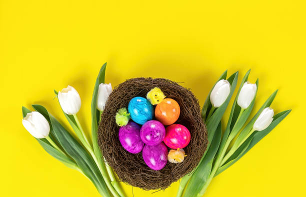 istock Easter colored eggs in nest and white tulips. Holiday concept. 1301742477