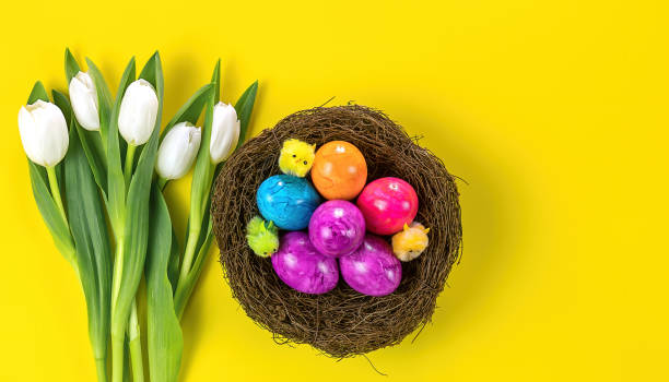 istock Easter colored eggs in nest and white tulips. Holiday concept. 1301743522