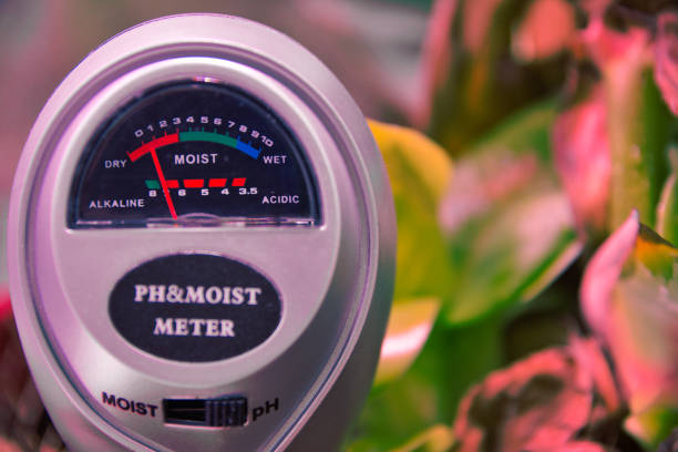 Analogue indoor moist and PH soil quality meter for indoor growing houseplants Analogue indoor moist and PH soil quality meter for indoor growing houseplants. soil tester stock pictures, royalty-free photos & images