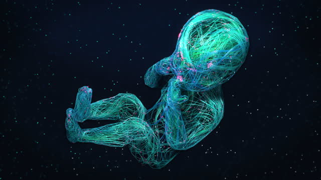 Ai Human Fetus Birthday. Vivid Multicolor Growth Technological Neurons in People Body. Conception Digitalization in 3d Animation Unborn. Connecting Tech Lines in Medical or Scientific Illustration 4k