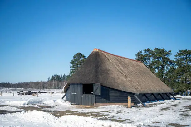 Dutch sheepfold nearby Heerde