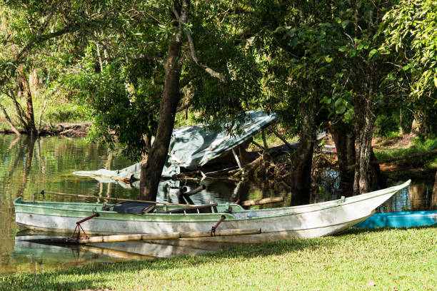 istock a bangka or paraw is use for transporting goods 1301755116