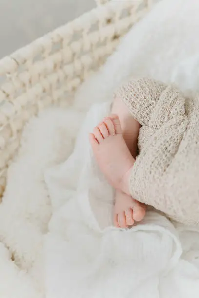 Newborn Photography Baby Feet in a Mosescrib