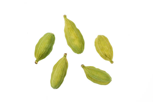 istock Cardamom isolated on white background with clipping path 1301757775