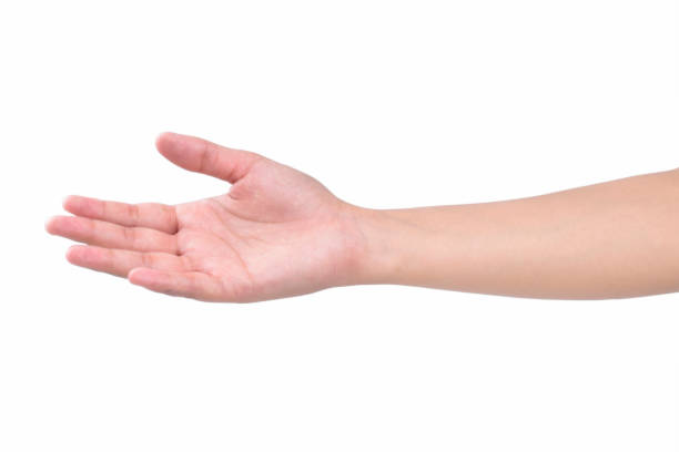 istock Helping hand isolated on white background with clipping path 1301763945