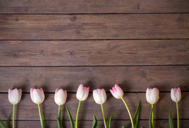 istock Spring tulip flower composition on wooden background 1301767057