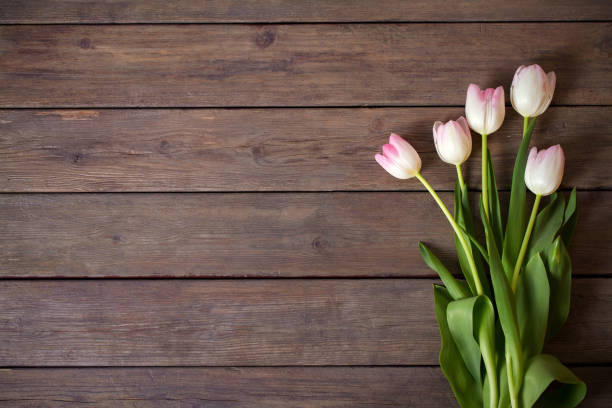 istock Spring tulip flower composition on wooden background 1301767285