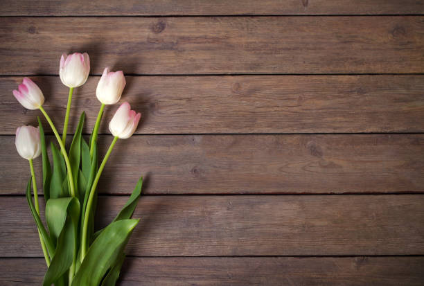 istock Spring tulip flower composition on wooden background 1301767393