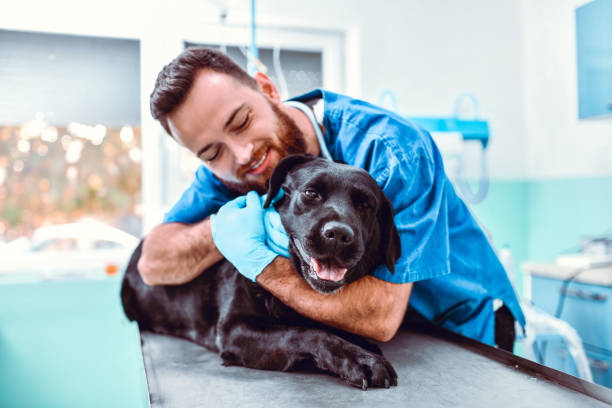 istock Male Vet Embracing Dog 1301768635