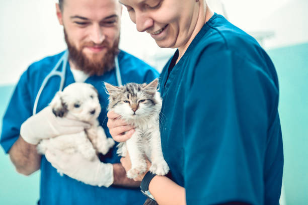 istock Vets Petting Their Smallest Patients 1301770278