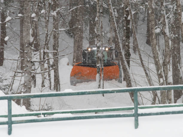 istock snow removal in the country 1301774605