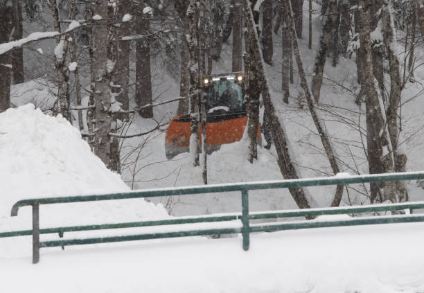 istock snow removal in the country 1301774606
