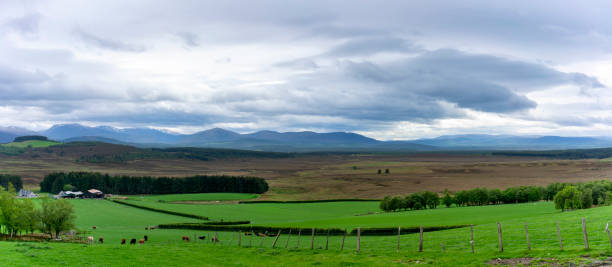istock Panoramic image of beautiful scenery in Aviemore , Scotland 1301777056