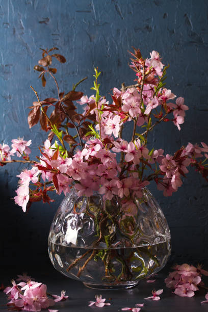 istock Flowering cherry tree branches in vase. Blossoming spring flowers 1301778541