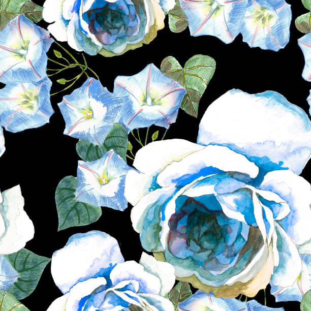 Watercolor white roses and bindweeds on black seamless pattern. Hand painted watercolor white roses and bindweeds on black seamless pattern. blue rose against black background stock illustrations