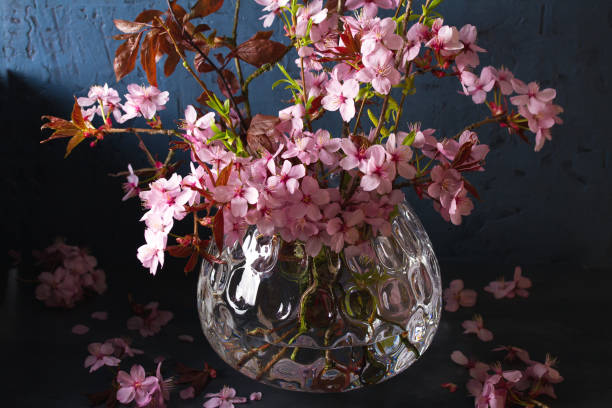 istock Flowering cherry tree branches in vase. Blossoming spring flowers 1301778869