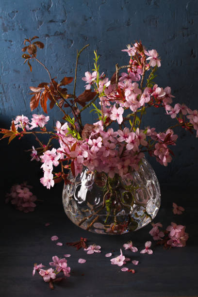 istock Flowering cherry tree branches in vase. Blossoming spring flowers 1301779005