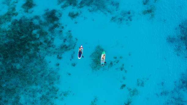 Scenic aerial view of woman and man floating on the paddle board in the turquoise colored ocean on Zanzibar island, Tanzania Drone panoramic photo of two people tourists doing paddle boarding on sup boards above the pure blue crystal waters of the Indian Ocean on Zanzibar tropical island during beach trip paddleboard surfing oar water sport stock pictures, royalty-free photos & images