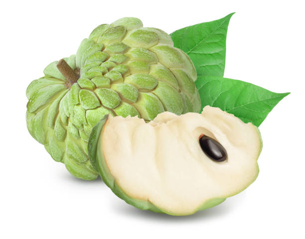 istock Sugar apple or custard apple isolated on white background with clipping path and full depth of field. Exotic tropical Thai annona or cherimoya fruit 1301781741