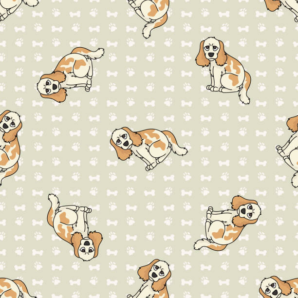 Cocker Spaniel Pattern Png 90+ Cocker Spaniel Puppies Background Stock Illustrations, Royalty-Free ...