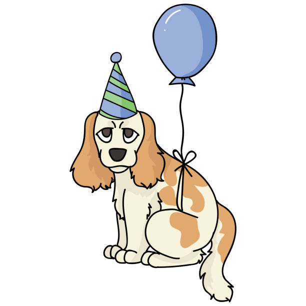 ilustraciones, imágenes clip art, dibujos animados e iconos de stock de lindo perro cocker spaniel de dibujos animados y cachorro con clipart vectorial de sombrero de fiesta. amantes de los perros de la perrera pedigrí. cachorro doméstico de pura raza para mascota de ilustración de globos. caza canina aislada inglesa. - birthday card dog birthday animal