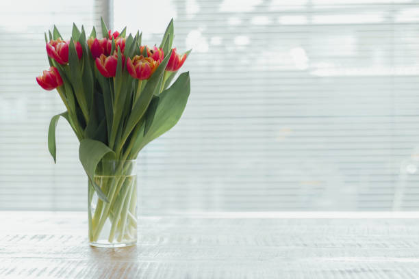 istock Dutch tulips in a vase 1301784574