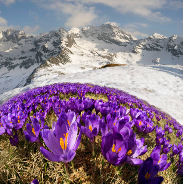 Corno alle Scale regional park in the Bolognese Apennines
