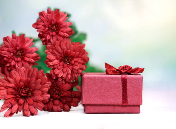 Red flowers with gift box for ring on white table. Burgundy chrysanthemums. Postcard for the holiday, on 8th of March, birthday, Valentine's, weddings, mother's day. Copy space