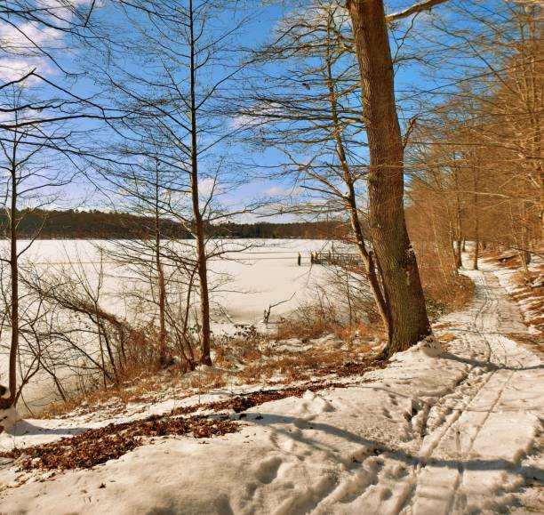 istock Idyll at the Werbellinsee 1301791857