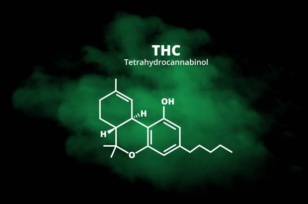 Chemical formula of THC, cannabis, marijuana. Design in green smoke, marijuana design. Vector chemical structural formula of tetrahydrocannabinol – THC in the green transparent cloud made of smoke on a black background. Chemical design with cannabis Sativa, cannabis Indica, marijuana. thc stock illustrations