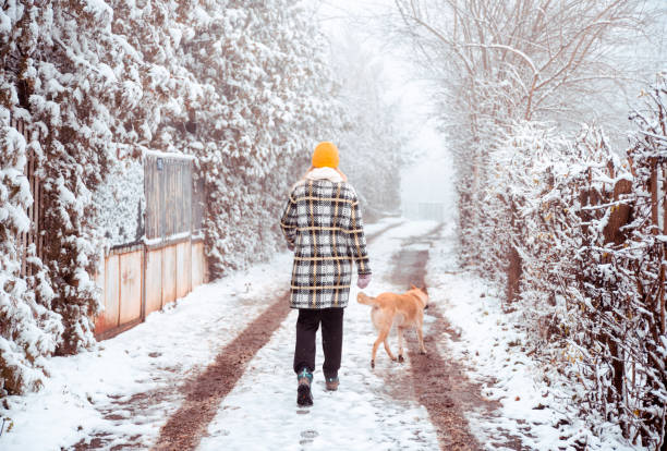 istock Every walk is new adventure with my Dog 1301793279