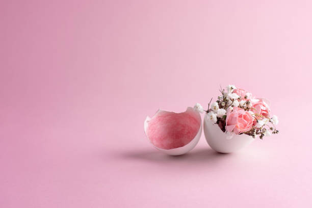 istock Pink and white flowers in eggshell on a pink background 1301796267