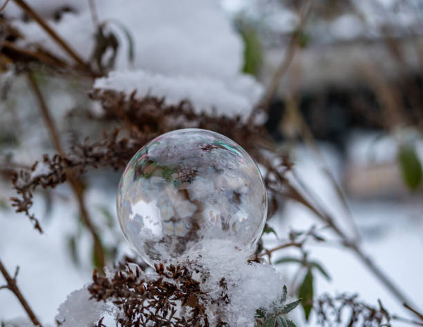 istock Soap bubble frozen in winter 1301799680