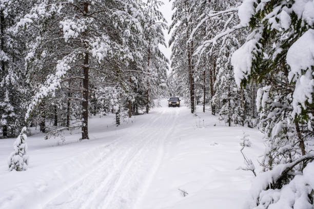 istock A passenger car on a snow-covered forest road on a frosty day. 1301803933