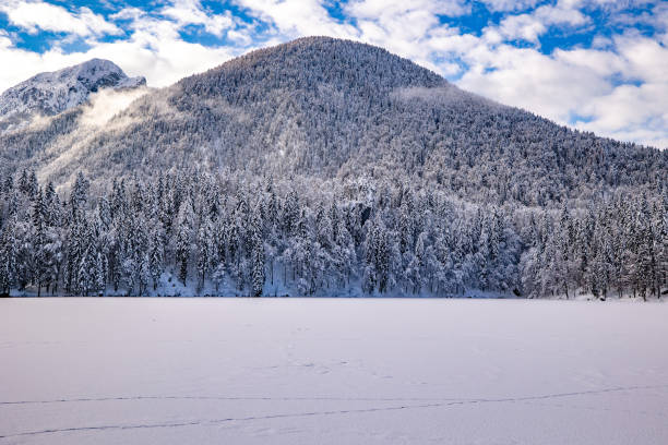 istock Winter snowy natural landscape, clean and fresh environment 1301804324