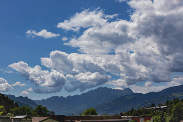 Panoramic view of a natural landscape at summer in the sunlight