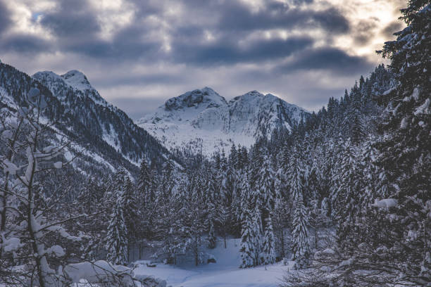 istock Winter snowy natural landscape, clean and fresh environment 1301804449