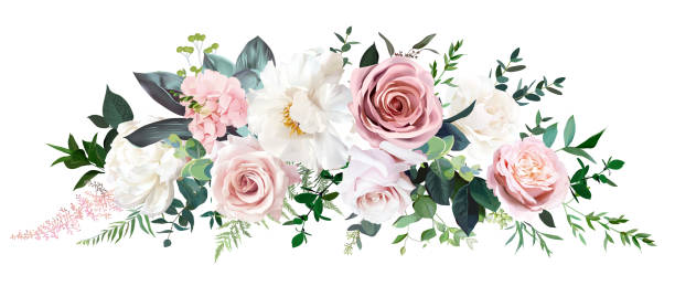 ilustraciones, imágenes clip art, dibujos animados e iconos de stock de rosa polvorienta y rosa crema, peonía, flor de hortensia, hojas tropicales vector guirnalda - rosa flor