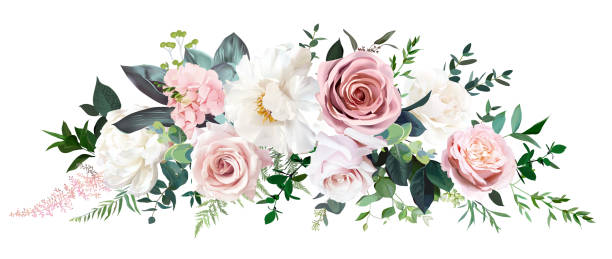 illustrazioni stock, clip art, cartoni animati e icone di tendenza di rosa polveroso e rosa crema, peonia, fiore di ortensia, ghirlanda vettoriale foglie tropicali - flower arrangement flower bouquet arrangement